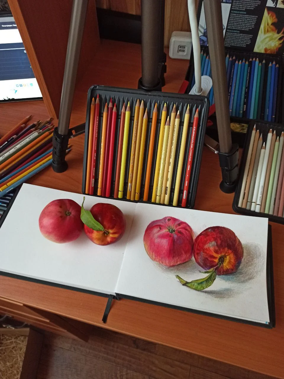 Apple material study