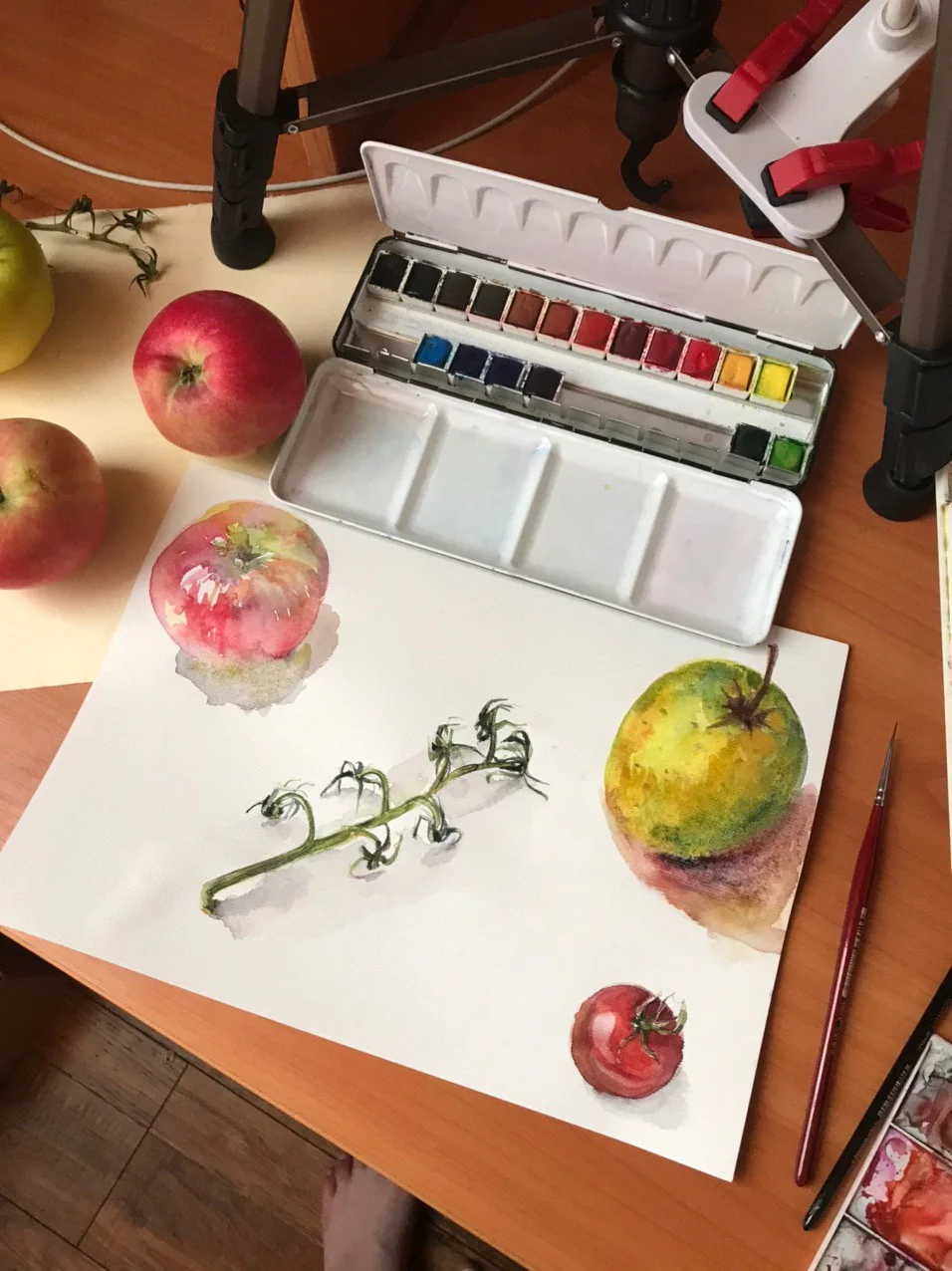 Fruit and botanical studies