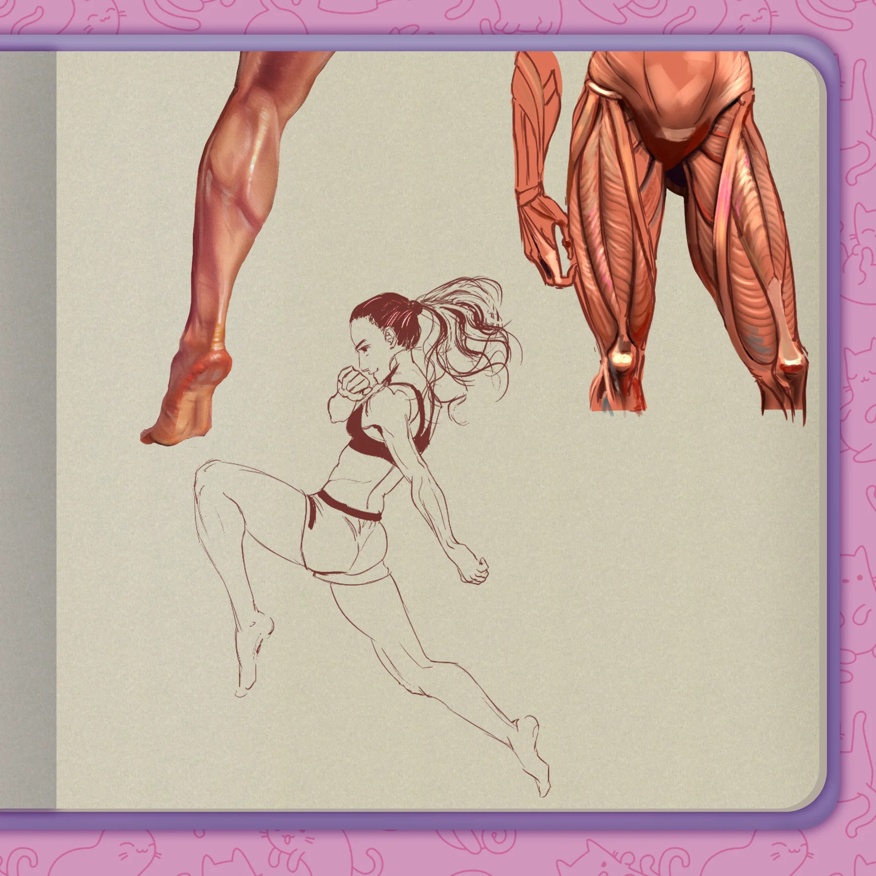 Anatomy notes